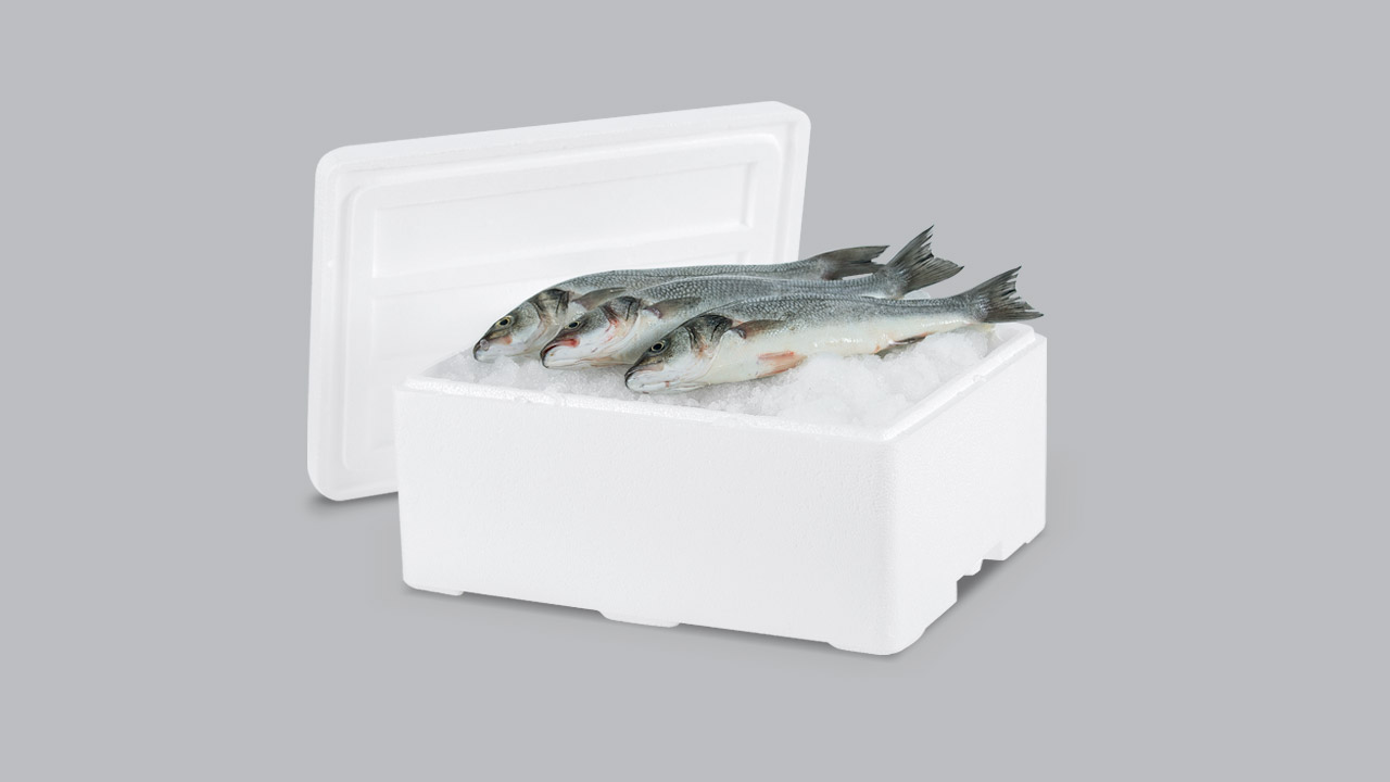 B-09 Cava EPS Estándar para Anchoa y Boquerón (10 Kg)